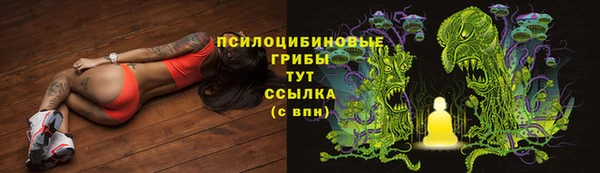 дурь Алзамай