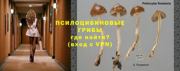 бошки Алексин