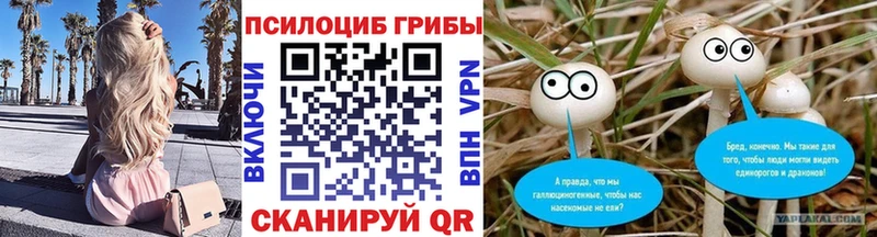 Псилоцибиновые грибы прущие грибы  хочу   Заинск 